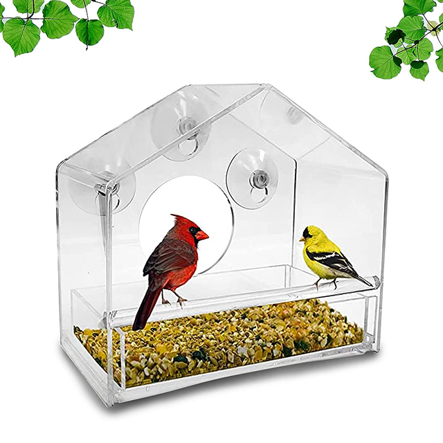 Acrylic Bird Feeder